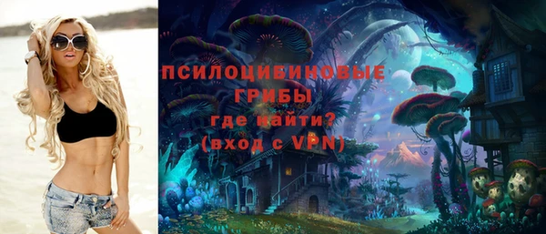 стафф Волосово