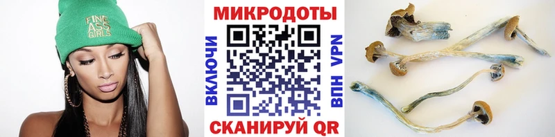 Галлюциногенные грибы Magic Shrooms  Севск 
